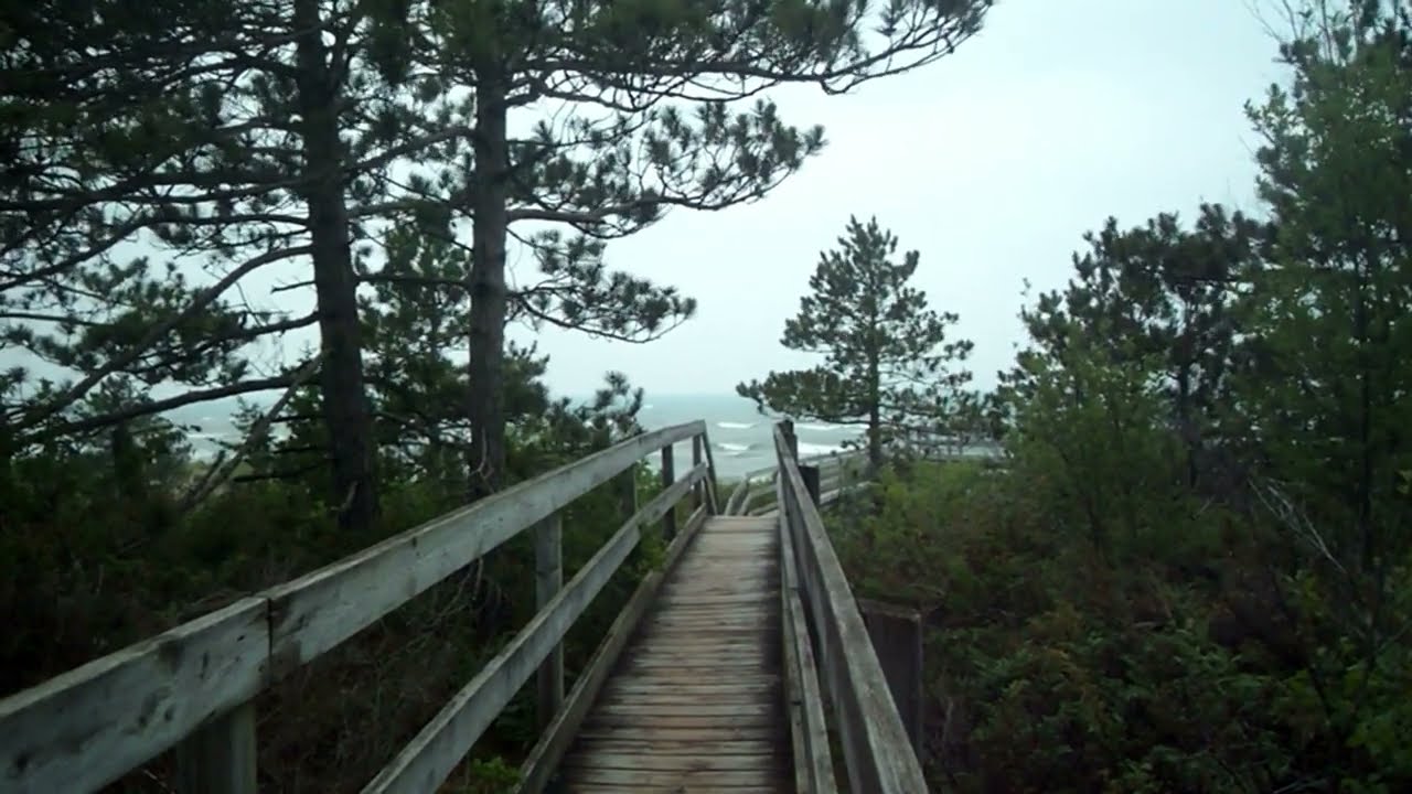 Overcast Beach Relaxing
