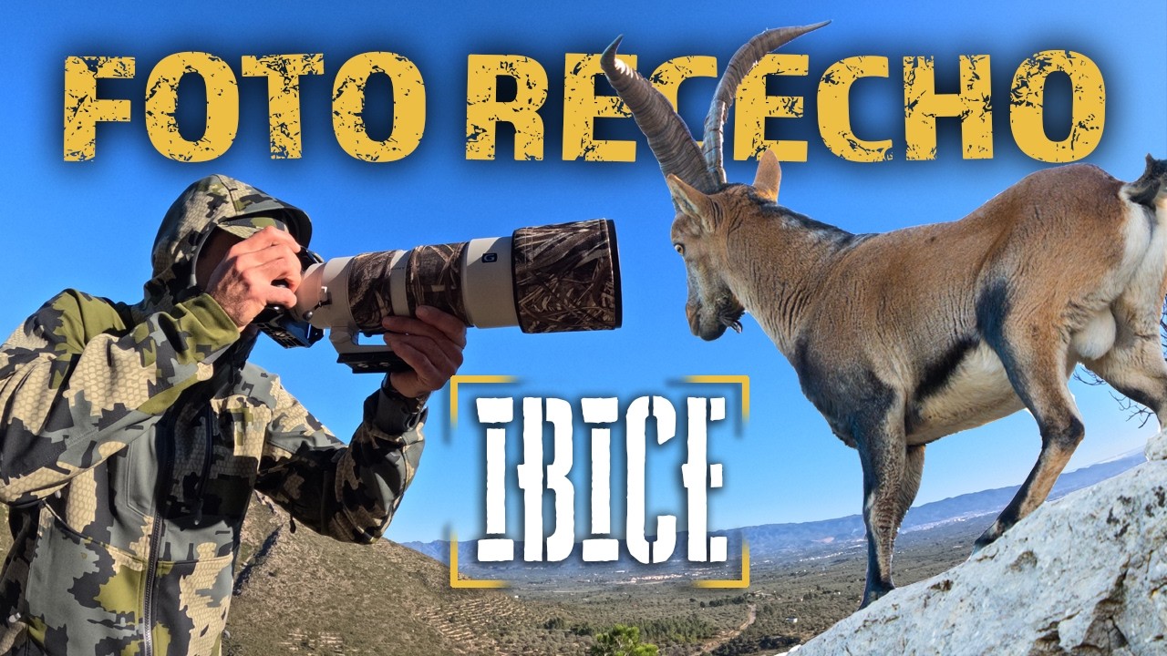 como FOTO recechar ÍBICE ibérico |TIPS|