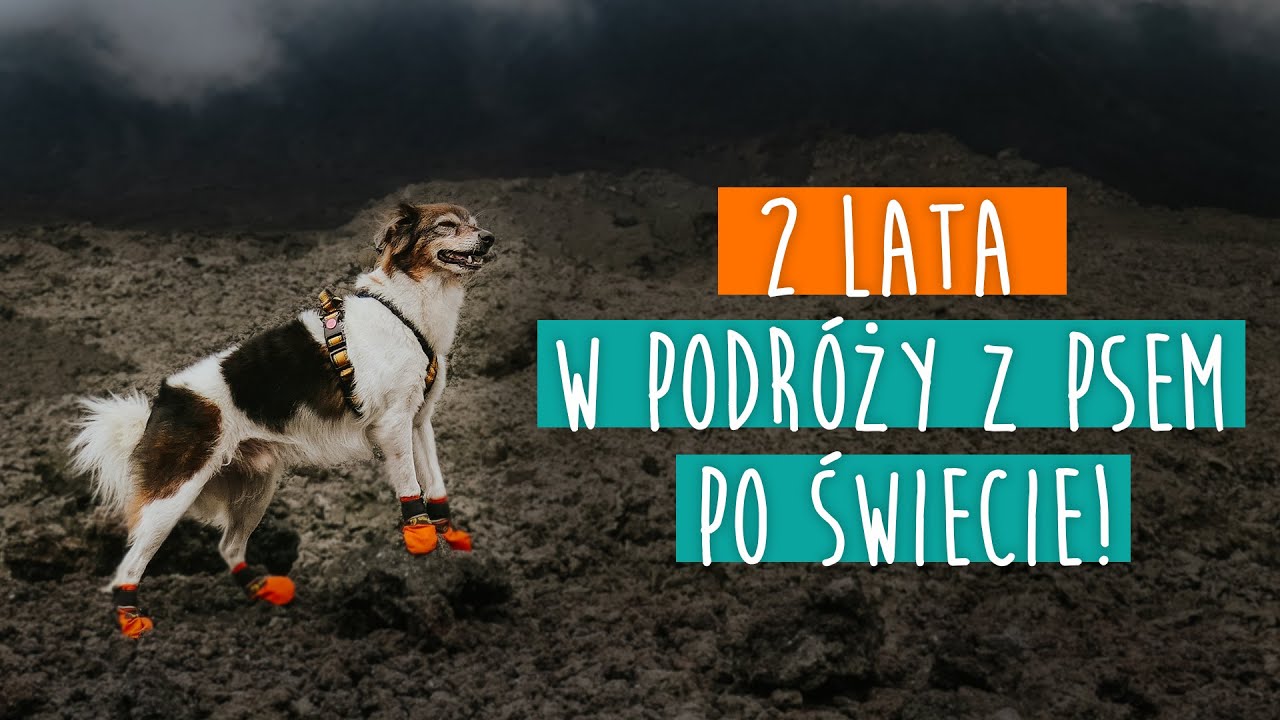 Pies w autostopowej podróży po Ameryce Południowej i Środkowej