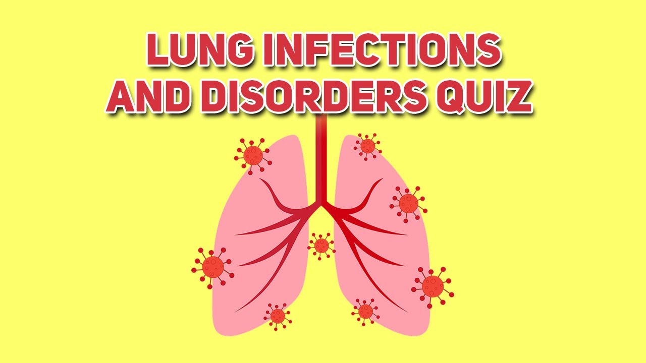 Lung Infections And Disorders | Respiratory Anatomy & Physiology Quiz