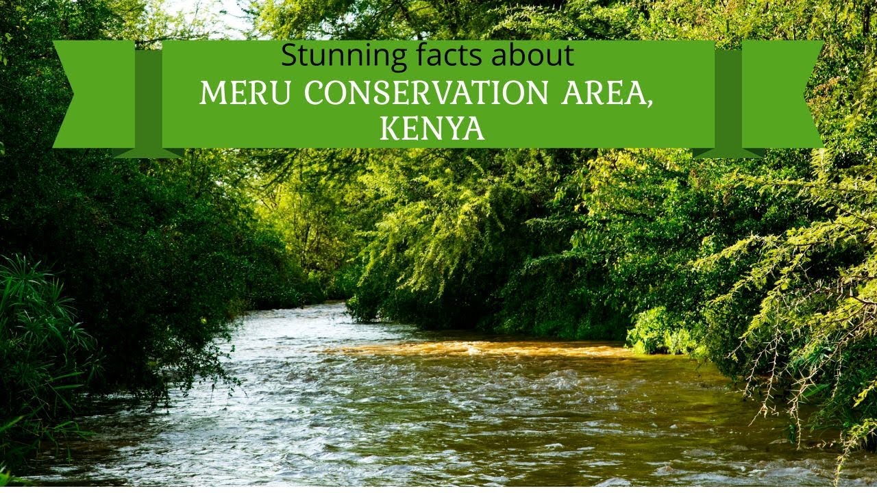 Meru Conservation Area| Meru & Kora National Parks | Bisanadi & Mwingi National Reserves.