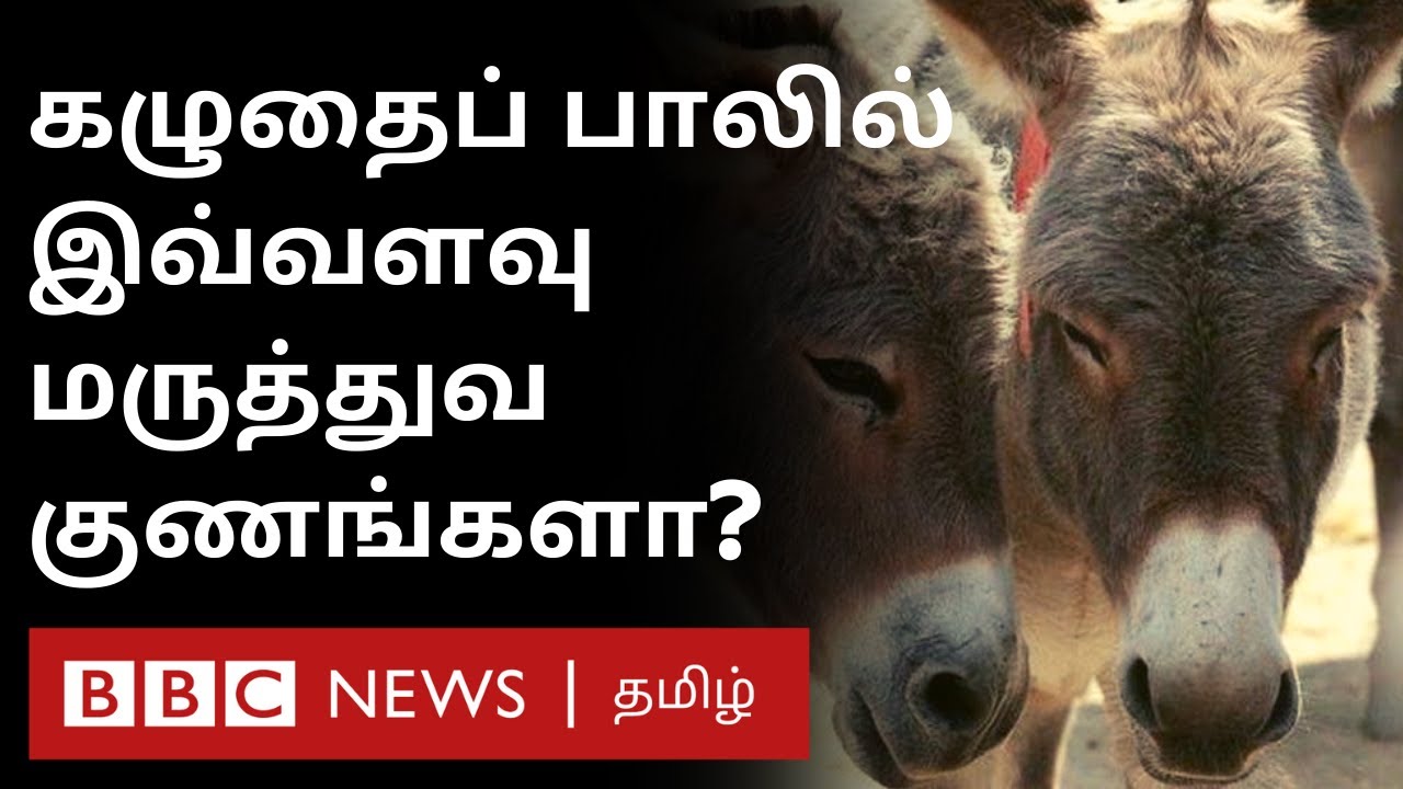Donkey Milk : நோய் எதிர்ப்பு திறனை வலுப்படுத்துமா?   | Immunity booster | Fact Check |