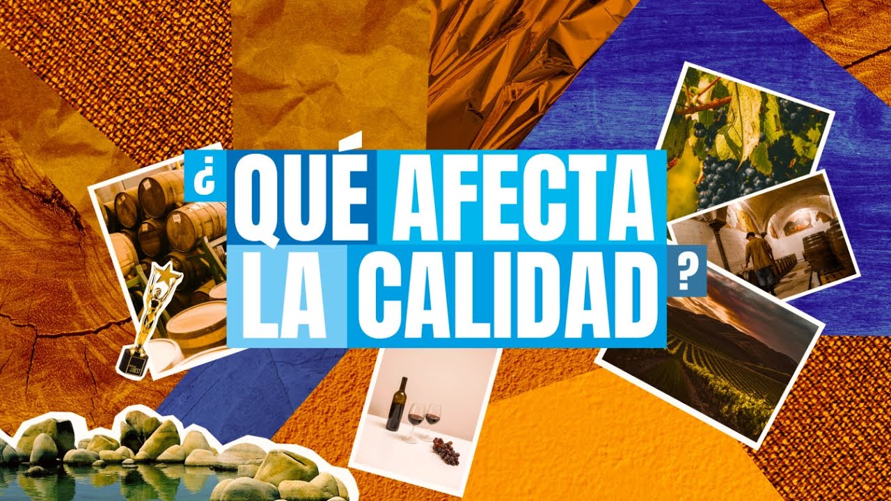 ¿Qué Afecta la Calidad del Vino?