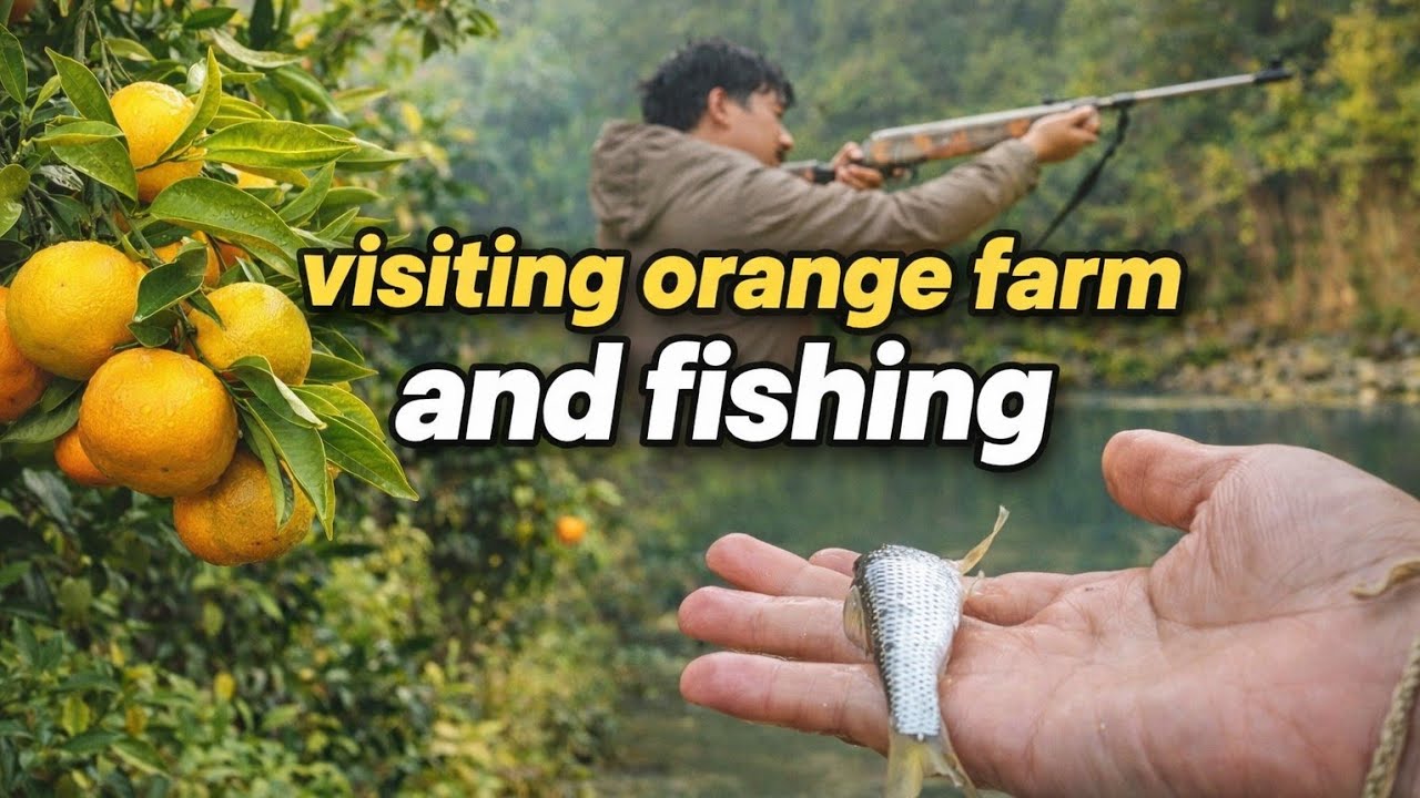 A day in my Village ll Oranges ll Fishing 