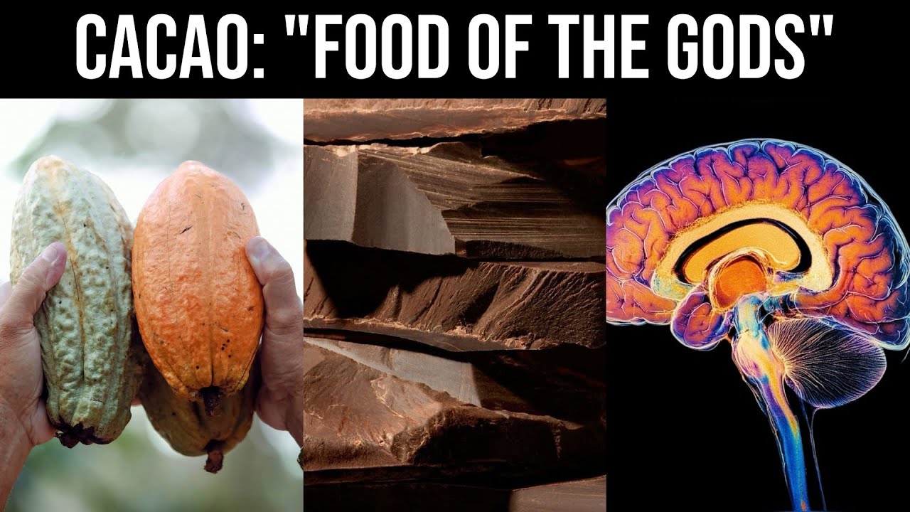 Cacao/Dark Chocolate: Flavanols, Health Benefits, Heavy Metals