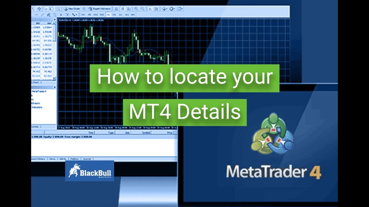 How to locate your MT4 Details | BlackBull Markets