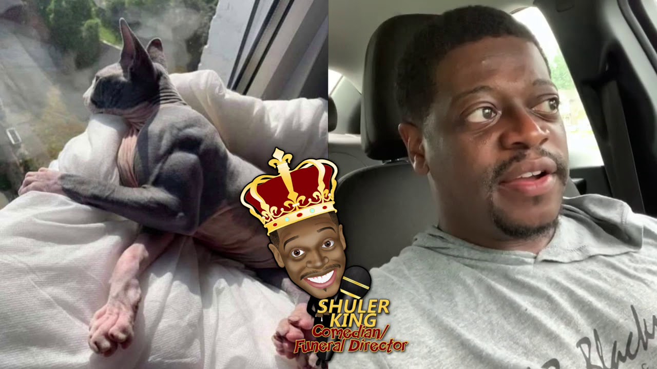 Shuler King - What Do They Feed This Cat?!!!