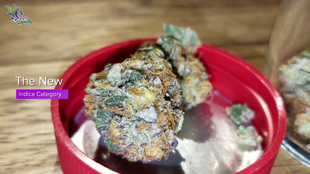 Viewing Entries at De Republiek Coffeeshop &bull; Jack Herer Cup Amsterdam 2020
