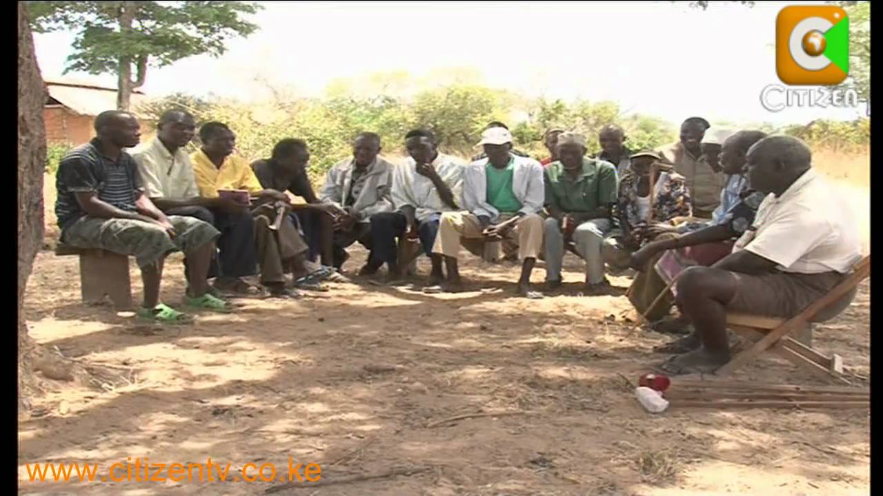 Row Over Jatropha in Malindi