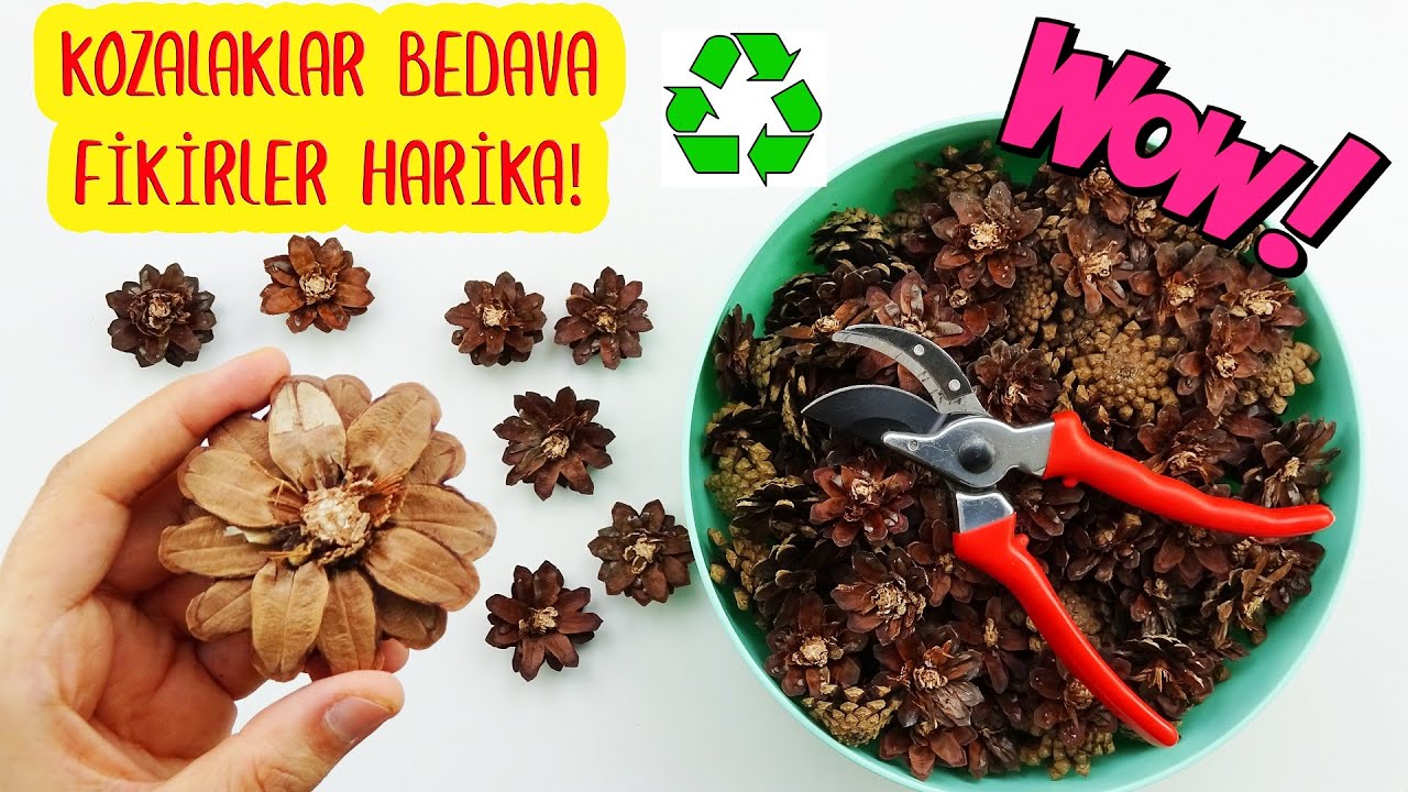 KOZALAKLAR HİÇ BU KADAR GÜZEL OLMAMIŞTI! (Kozalaktan Efsane 3 Dönüşüm) Recycling Of Pine Cone / DIY