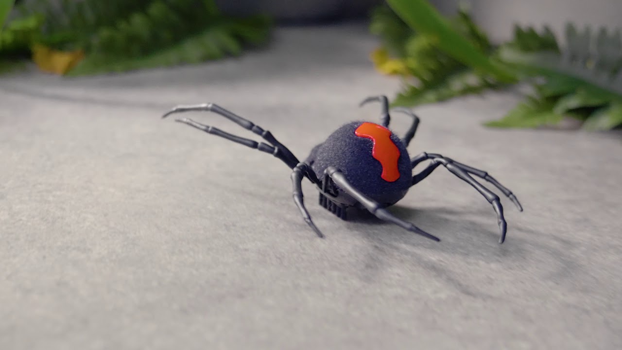 Robo Alive Spider