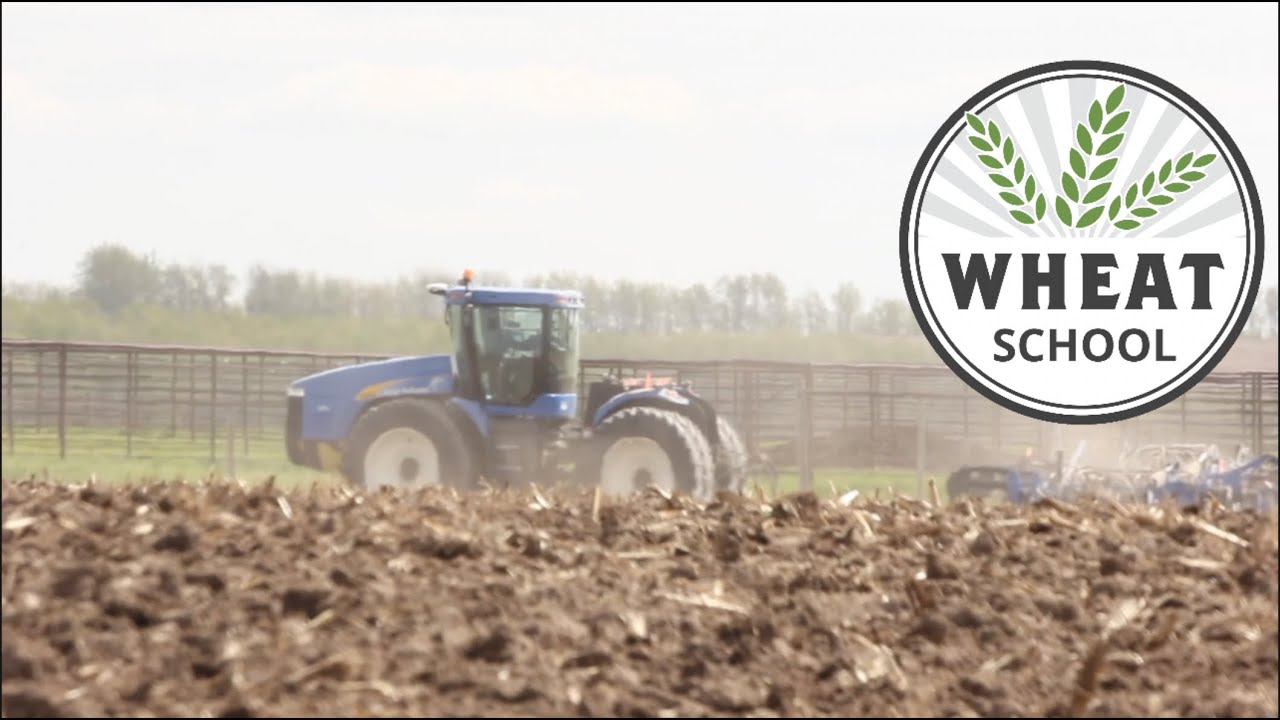 Wheat School: Achieving a successful seeding rate