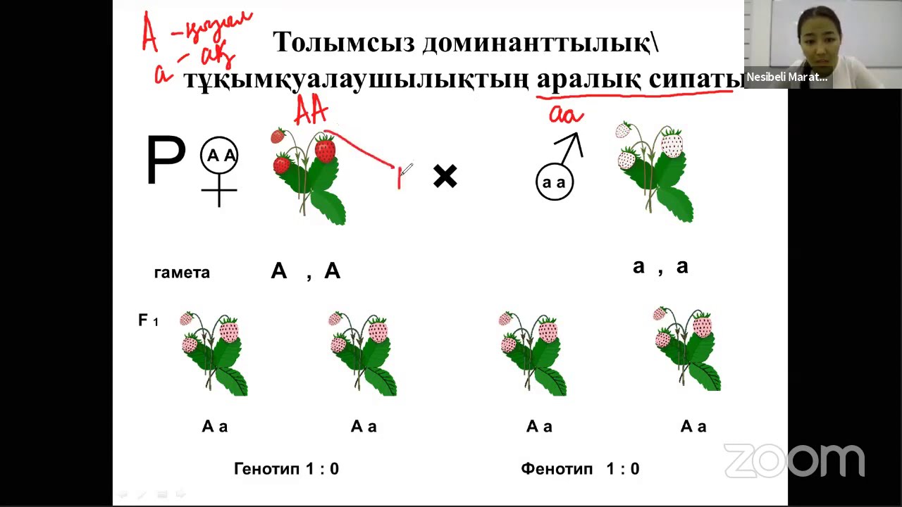ҰБТ-ға дайындық. БИОЛОГИЯ. Тұқымқуалаушылық пен өзгергіштік