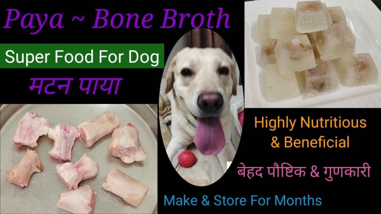 Super Food for dogs. Nutritious home cooked PAYA / BONE BROTH.Make & store for months. पोस्टिक पाया
