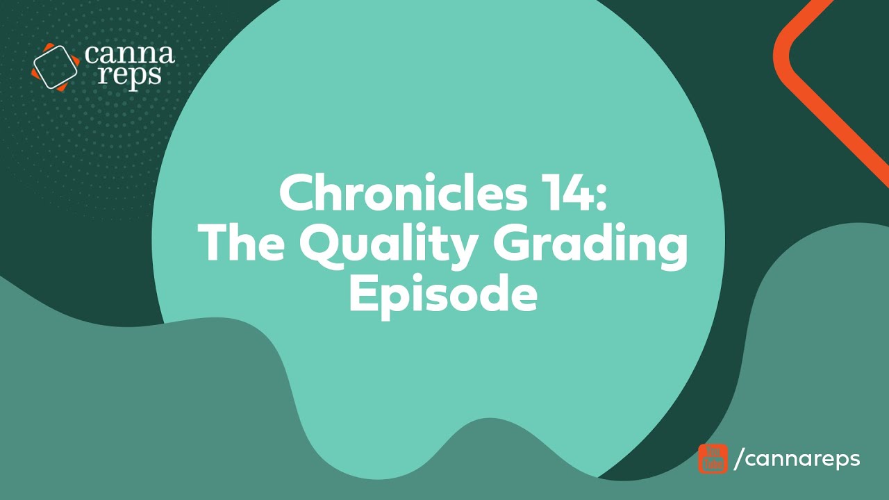 The Quality Grading Episode: How Cannabis Sommeliers Grade Weed | CHRONICLES 14