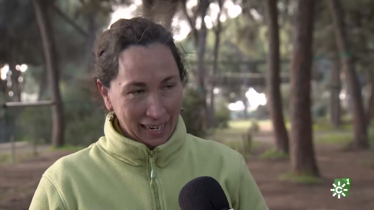 Bosque Suspendido, parque de aventura en los arboles en Salud al dia de Canal SUR