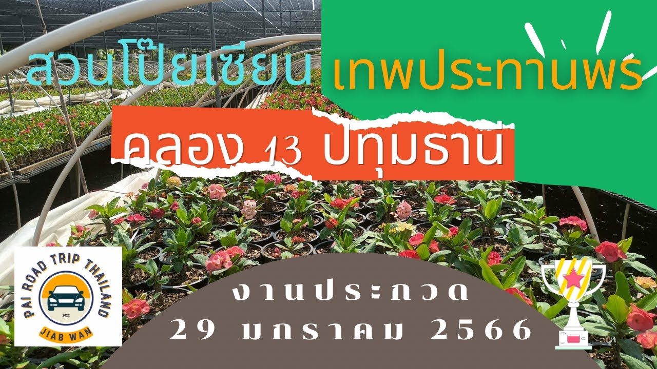 พาชมสวนโป๊ยเซียน สวนเทพประทานพร คลอง 13  ปทุมฯ |Pai road trip Thailand