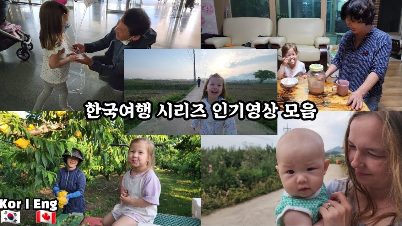 국제커플 캐나다 한국 여행 브이로그: 인기영상 모음(시간순대로) Trip To Korea Flashback