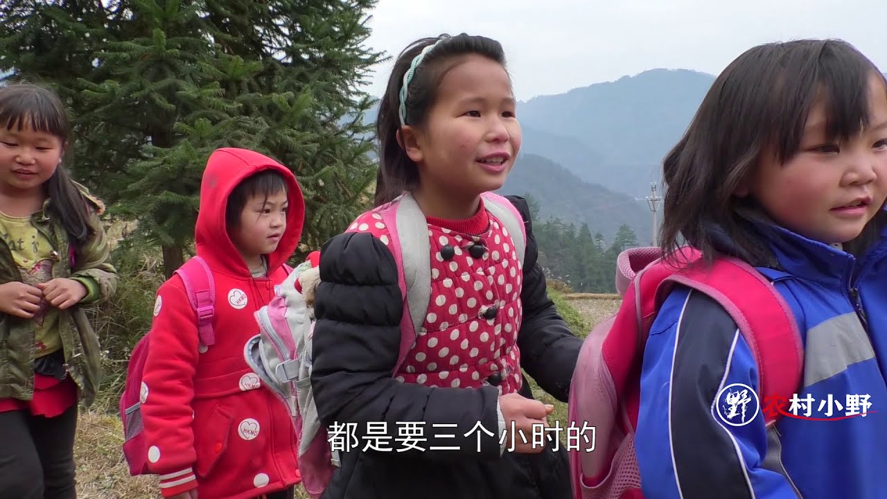 农村小野：贵州大山的孩子，去学校要徒步三个小时，看得流泪