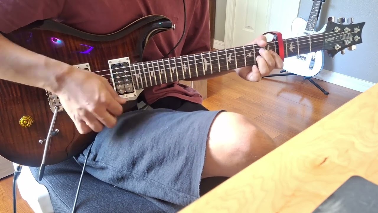 MASS OF THE FERMENTING DREGS - Sugar (Guitar Cover)