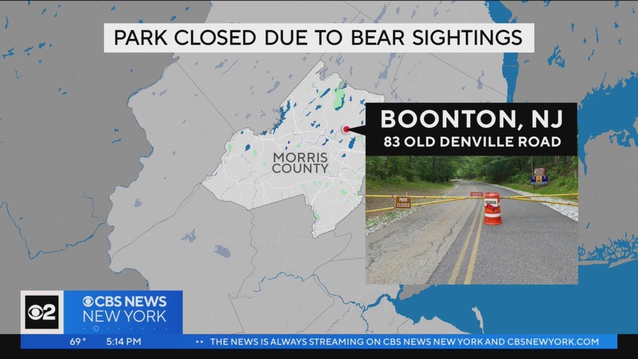 Morris County park shut down after close call with bear