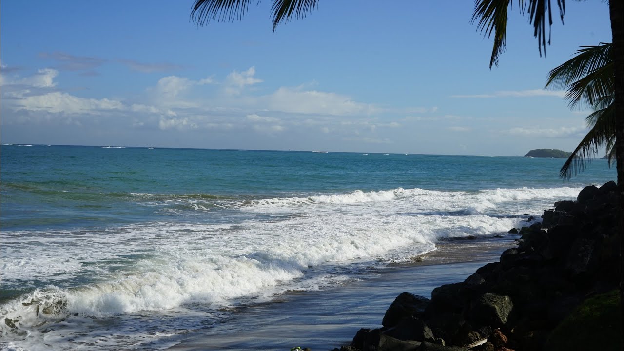 Ocean Waves for Sleep & Relaxation 🌊 | 7 Hours