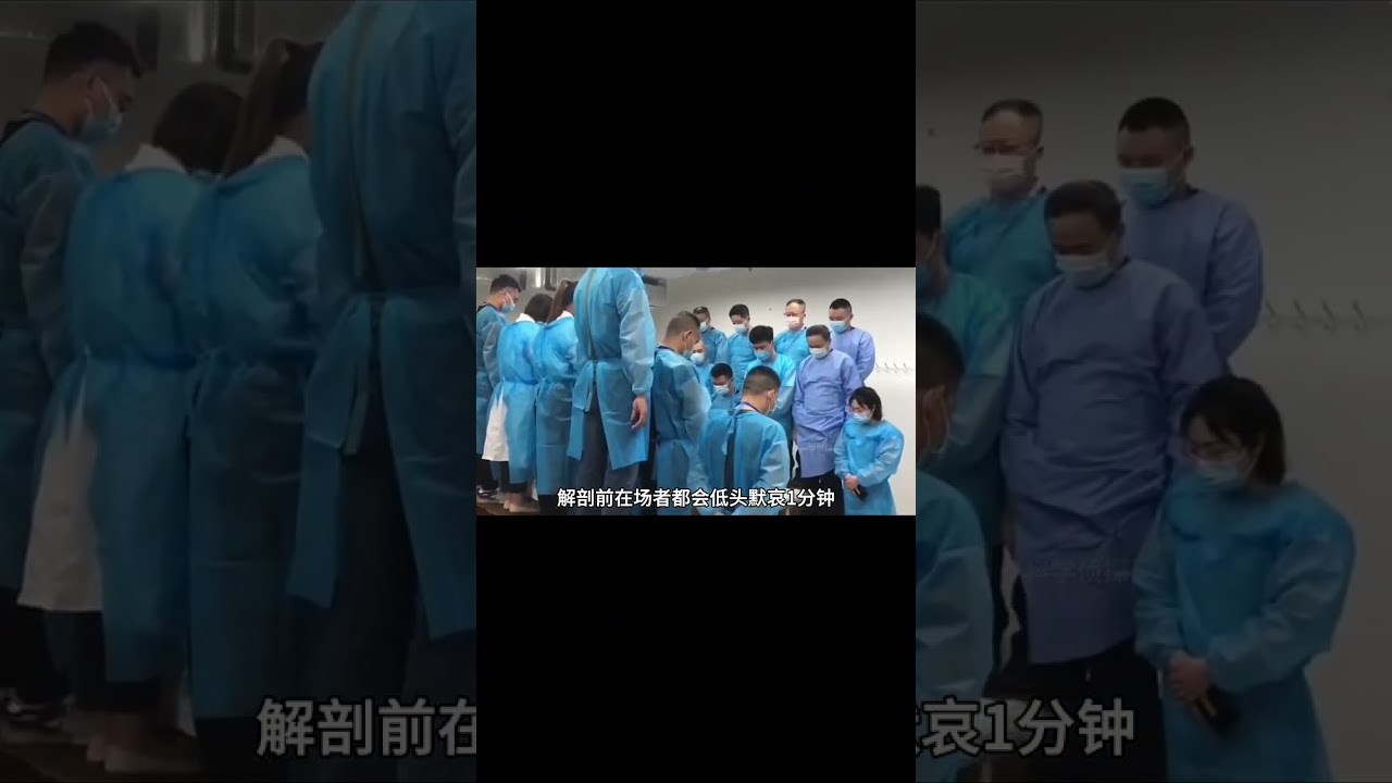 人体标本 - 大体老师