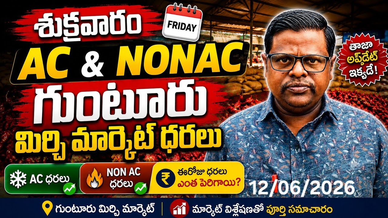 12 June 2026 GUNTUR MIRCHI MARKET RATES గుంటూరు మిర్చి మార్కెట్ ధరలు 