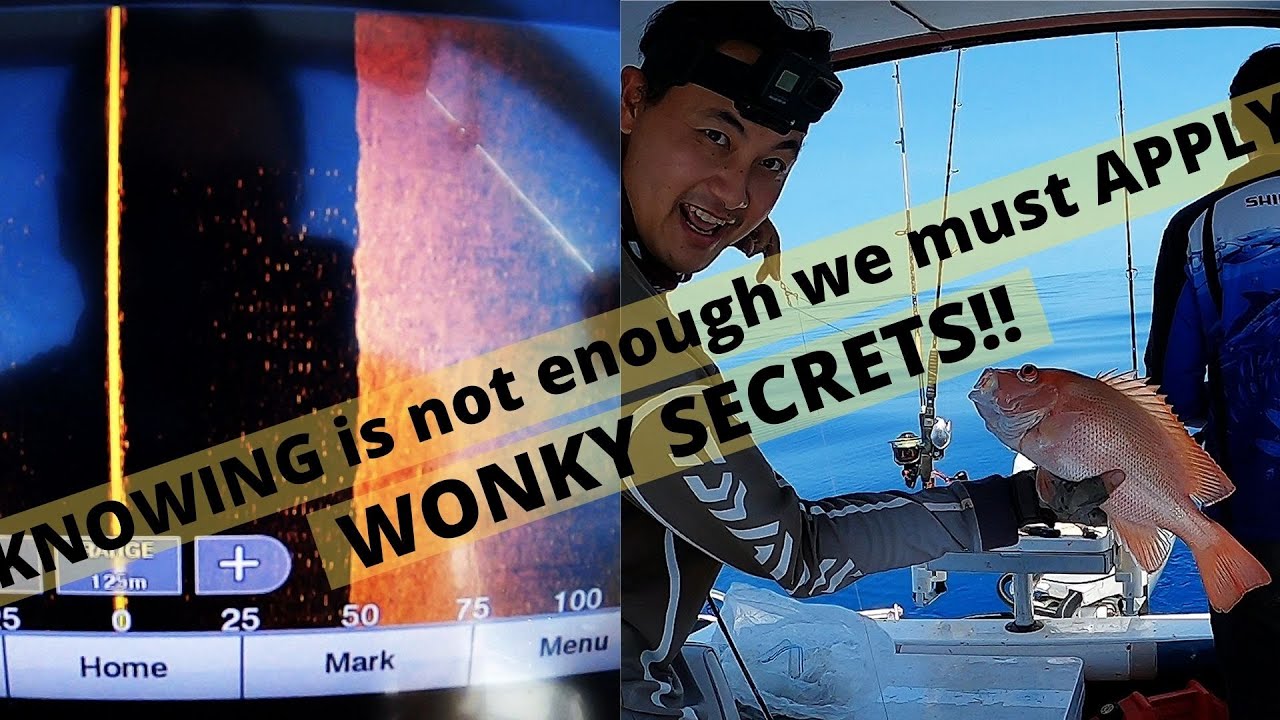 DECTRYPTING the WONKY/NANNY code🤔🤔The search CONTINUES..ep88
