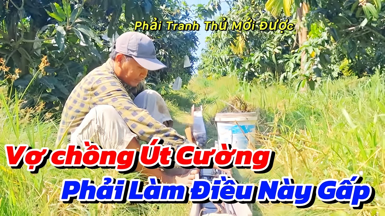 Phải Làm Công Đoạn Này Trước Ngày Khởi Công Mới Bảo Đảm Được Chắc Chăng Cho Căn Chòi 