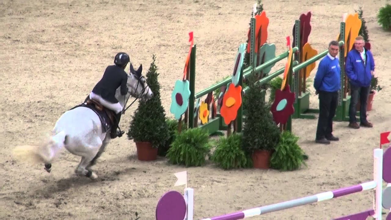 Cedric (webstallions.com)