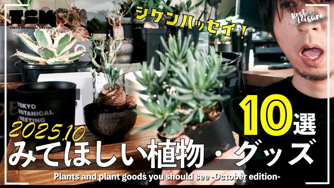 【植物大散財報告】10月に見て欲しい植物 10選 ｜ビザールプランツ｜塊根植物｜多肉植物｜#tbm5