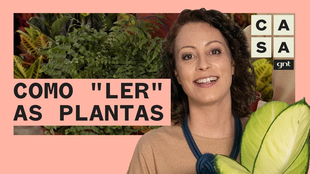 🍂 Aprenda a decifrar os sinais das plantas e quais cuidados tomar | Plante Você Mesmo | Carol Costa
