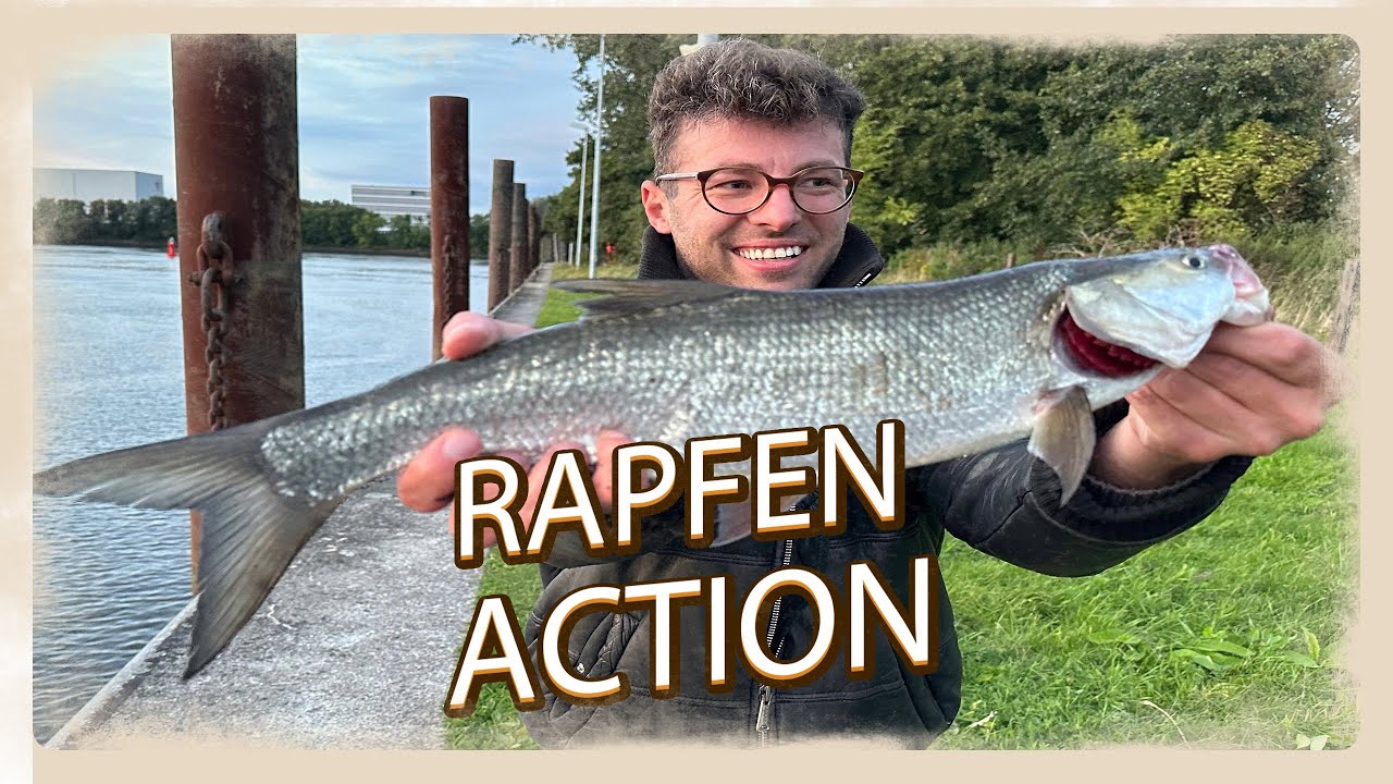 RAPFEN-ACTION! ELBE 🎣 FISCHEN ODER UNFALL?  Jan stolpert beim Keschern und es wird richtig wild! 😂