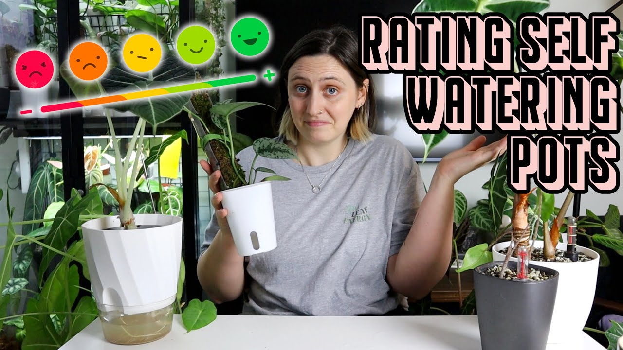which SELF-WATERING POTS are worth buying? 💦🪴 rating them all