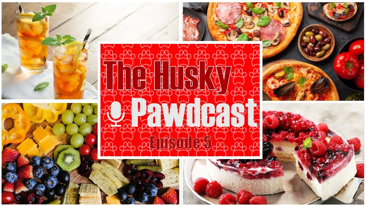 Top 5 Cuisines, Joe Tea, Snack Households, Cocaine Bear | The Husky Pawdcast Ep05
