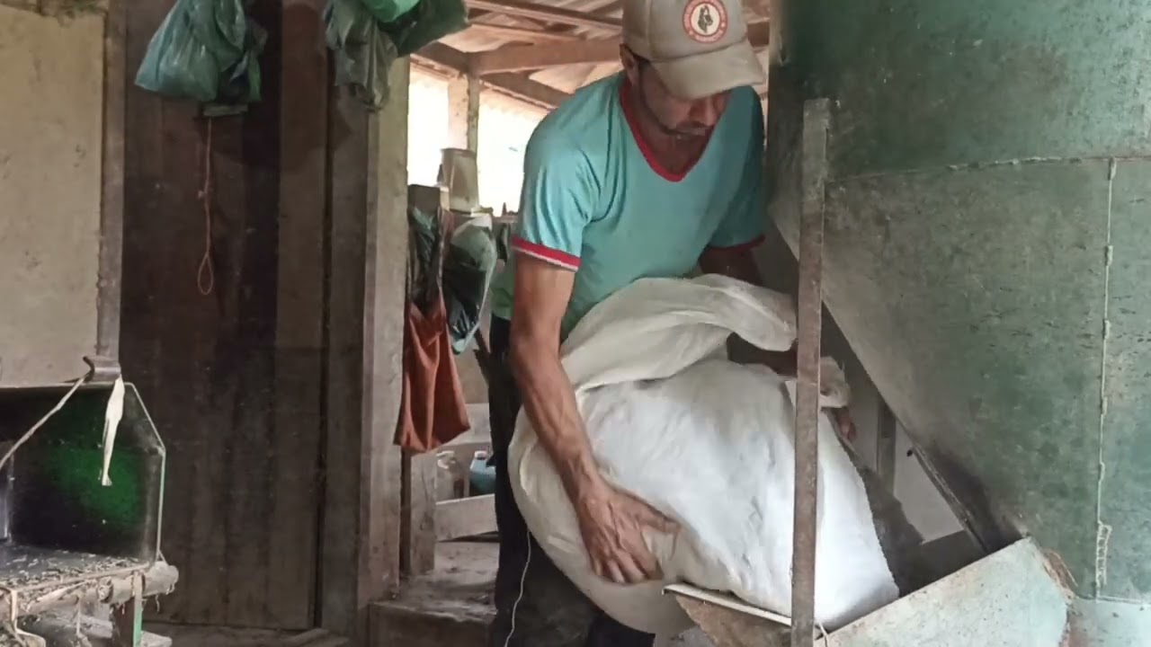 como fazer ração 20% com caroço de algodão.