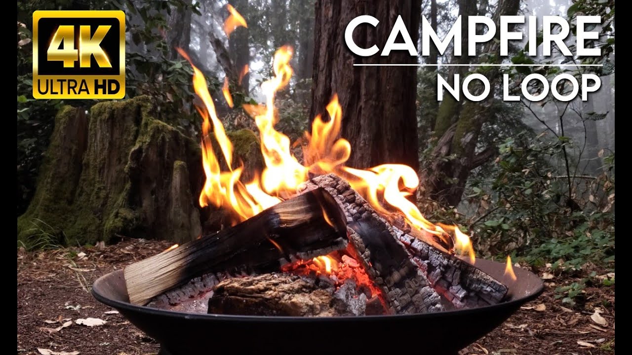 🔥 Relaxing Campfire in the Forest. No Loop, Real Sounds [4K UHD] Расслабиться. Спать. Камин
