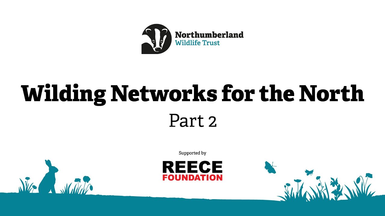 Wilding Networks for the North Conference (Part 2)