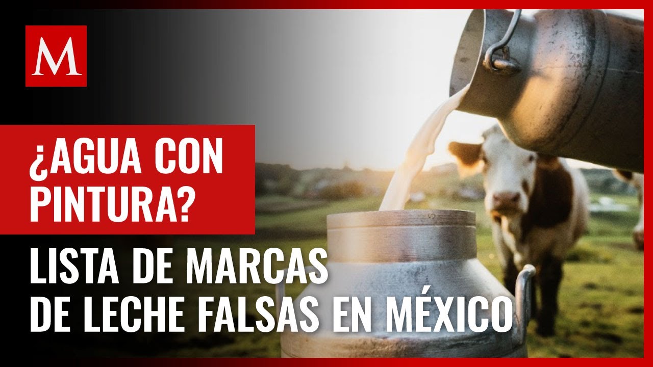 ¿Agua con pintura? Lista completa de marcas de leche falsas que se venden en México: Profeco