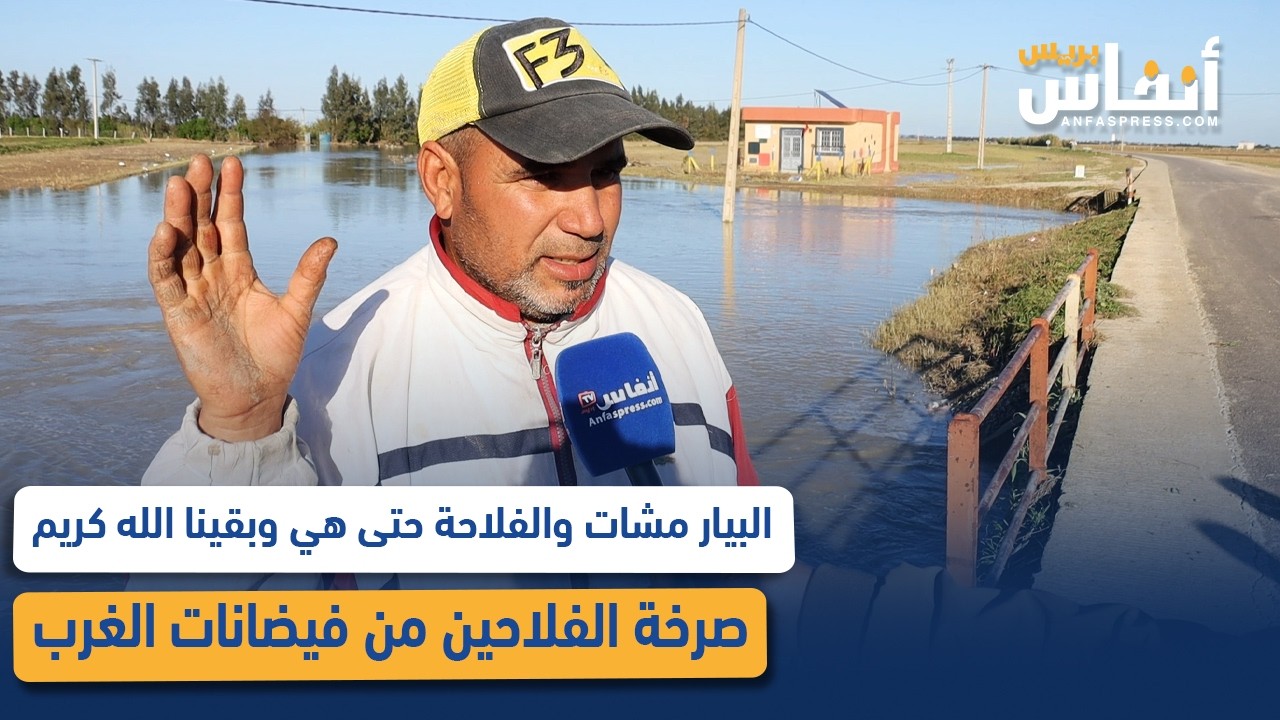 البيار مشات والفلاحة حتى هي وبقينا الله كريم.. صرخة الفلاحين من فيضانات الغرب