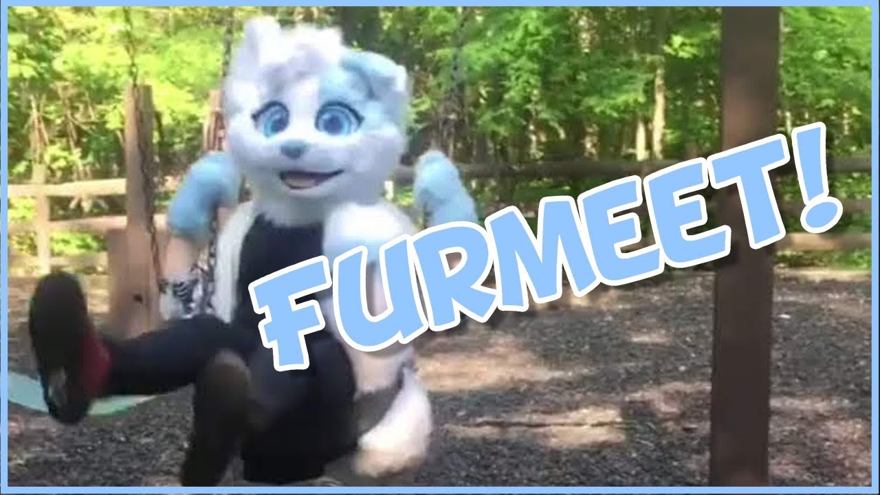 What to Expect at a Furmeet