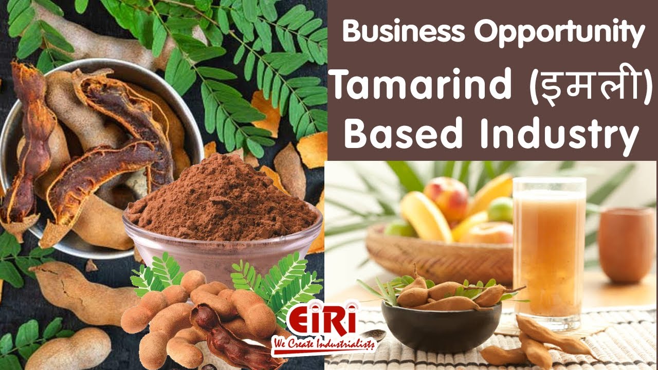 Tamarind Based Industry - Seed Powder - Pulp - Paste - Juice - DPR - Project Report