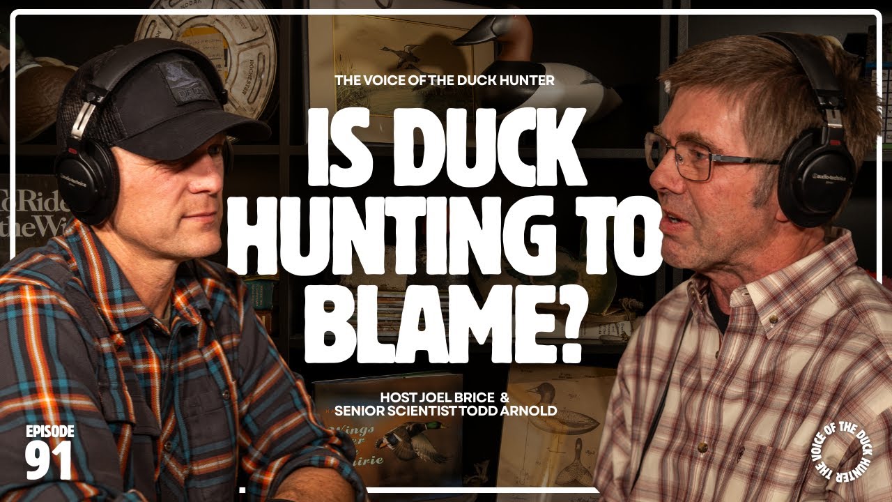 Ep. 91 | Does Duck Hunting Really Hurt Duck Populations? | Senior Scientist Todd Arnold