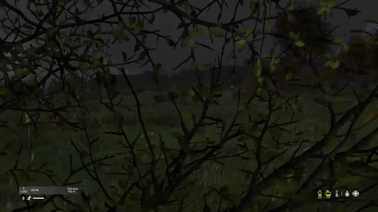 DayZ North Chernarus server live