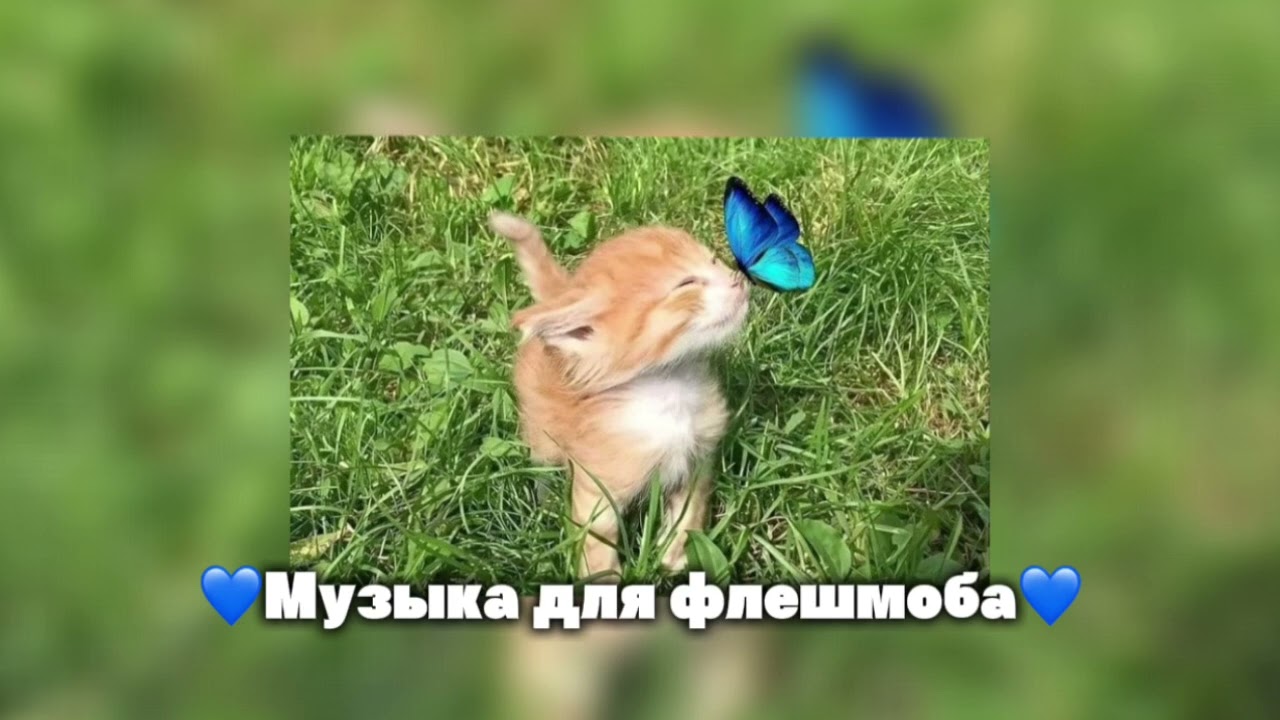||💙музыка для флешмоба💙||