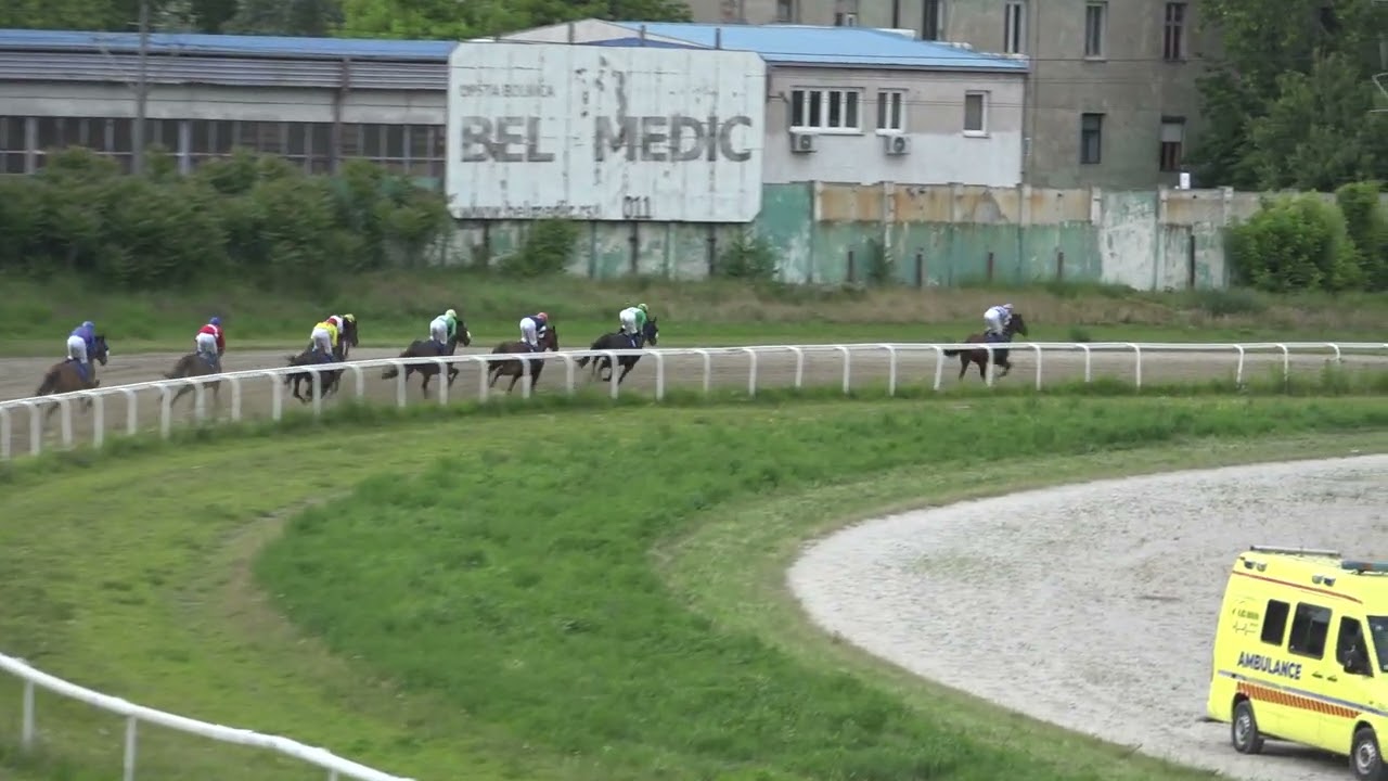 Hipodrom Beograd 7. Trka - MEM DARKA FILIPOVIĆA PILKETA 1700m