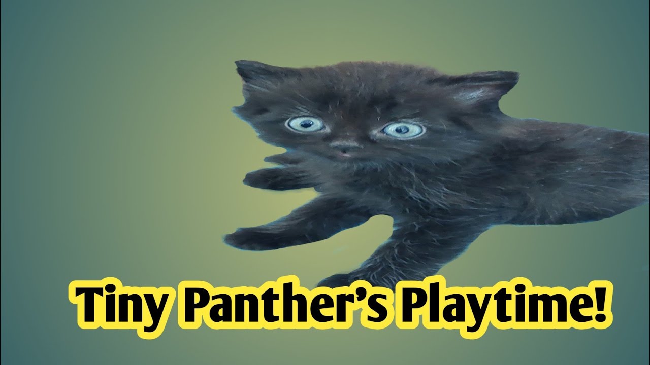Zuma's Claw-some Chase: Hand-Hunting Fun!
