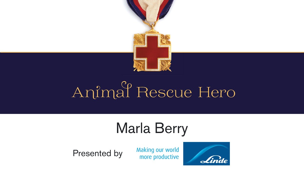2025 Western New York Real Heroes Animal Rescue Award Presented by Linde
