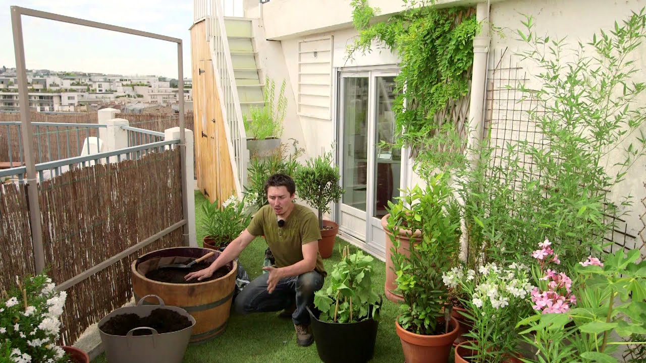 Comment planter et entretenir des plantes grimpantes pour balcon ?